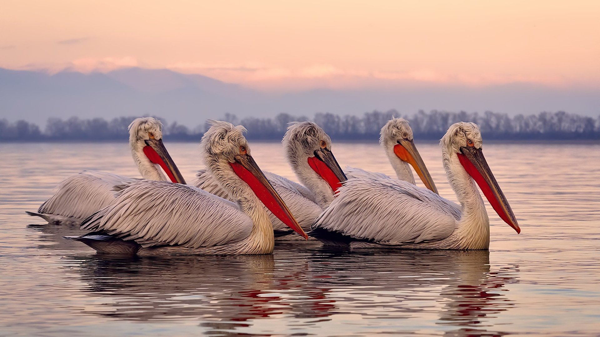 快船“双星”詹姆斯和莱昂纳德的“攻防双核”战术成核心,詹姆斯与莱昂纳德谁更强壮