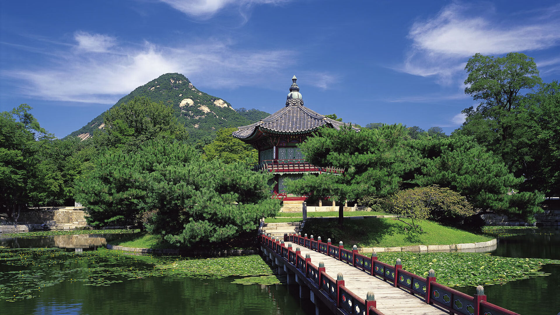 AYX官网-江苏篮球联赛精彩赛事回顾，江苏 篮球