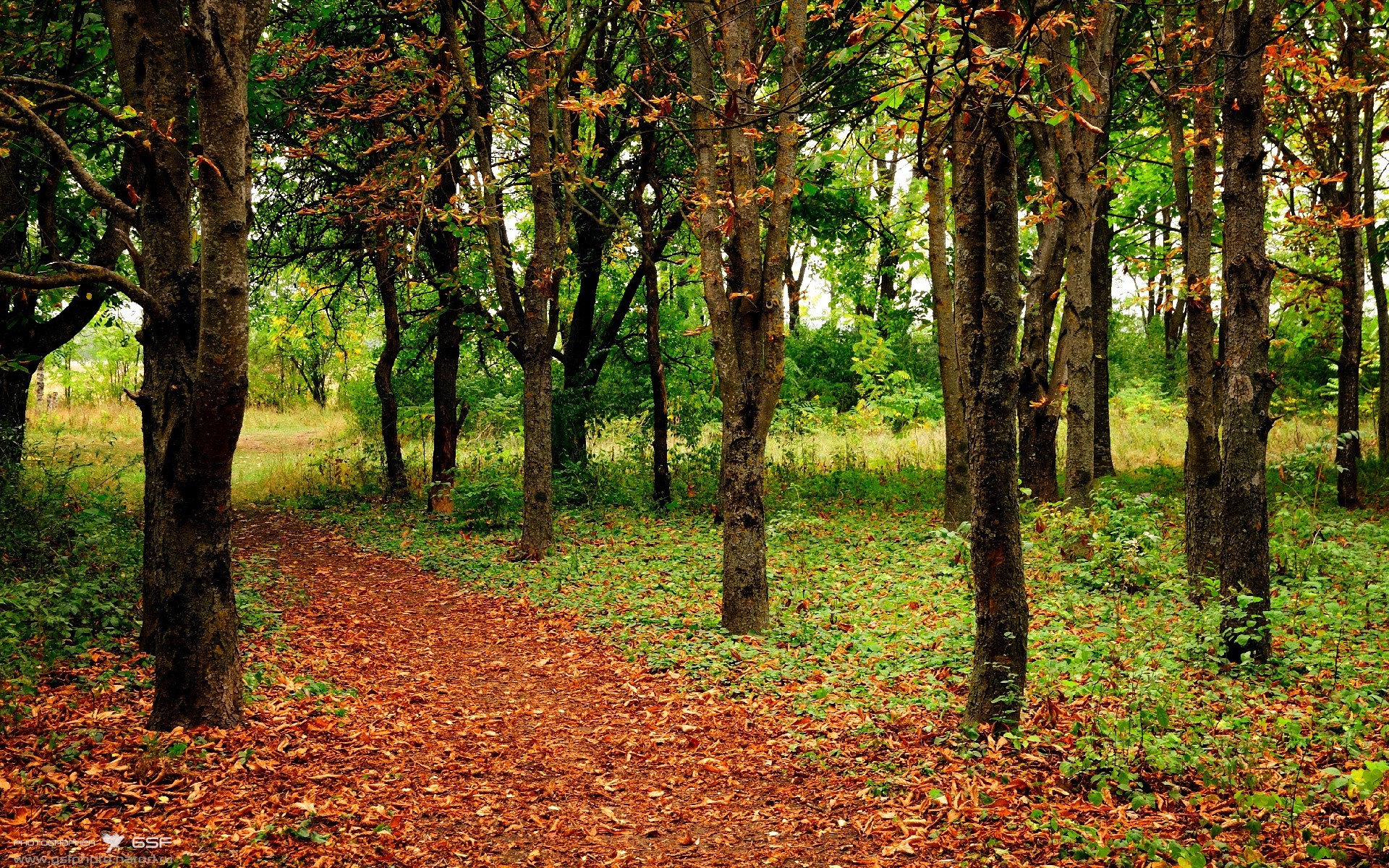 特色足球场馆获多项国际安全环保认证,行业绿色发展,足球场设施