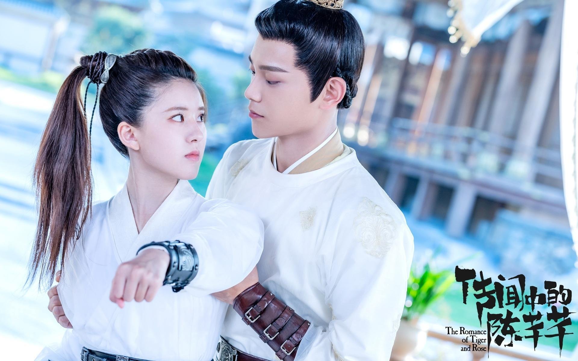 赛场风云:冠军争夺战的赛前分析,赛场风云突变