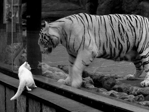 青少年“篮球模拟赛”在杭州引爆青训热潮,杭州青少年篮球培训提供篮球培训服务