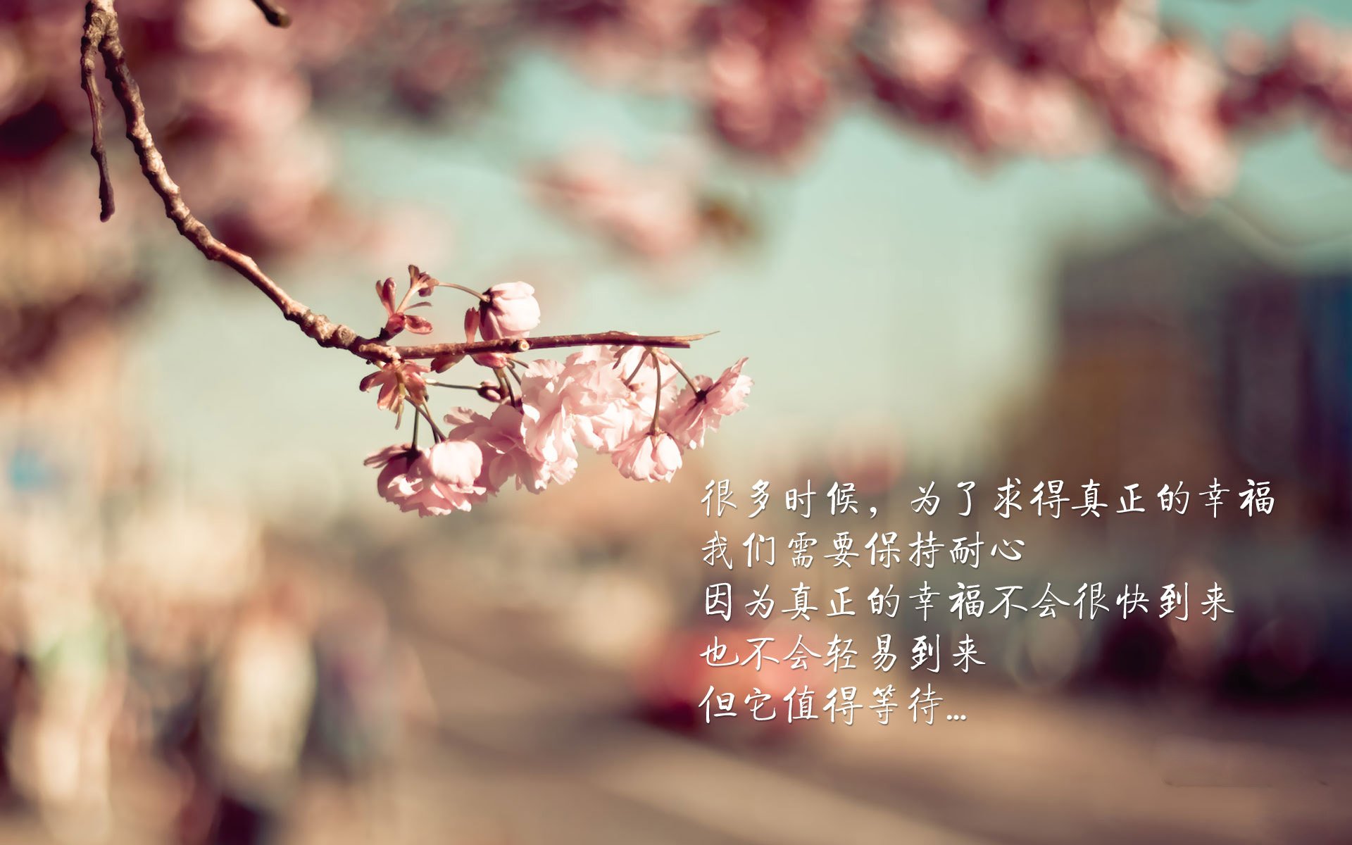 AYX体育-C9与欧洲战队展开交流赛，c9战队百度百科