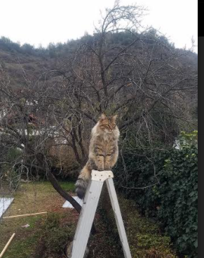 《勇士替补席贡献有限,球队深度成疑》,勇士的替补