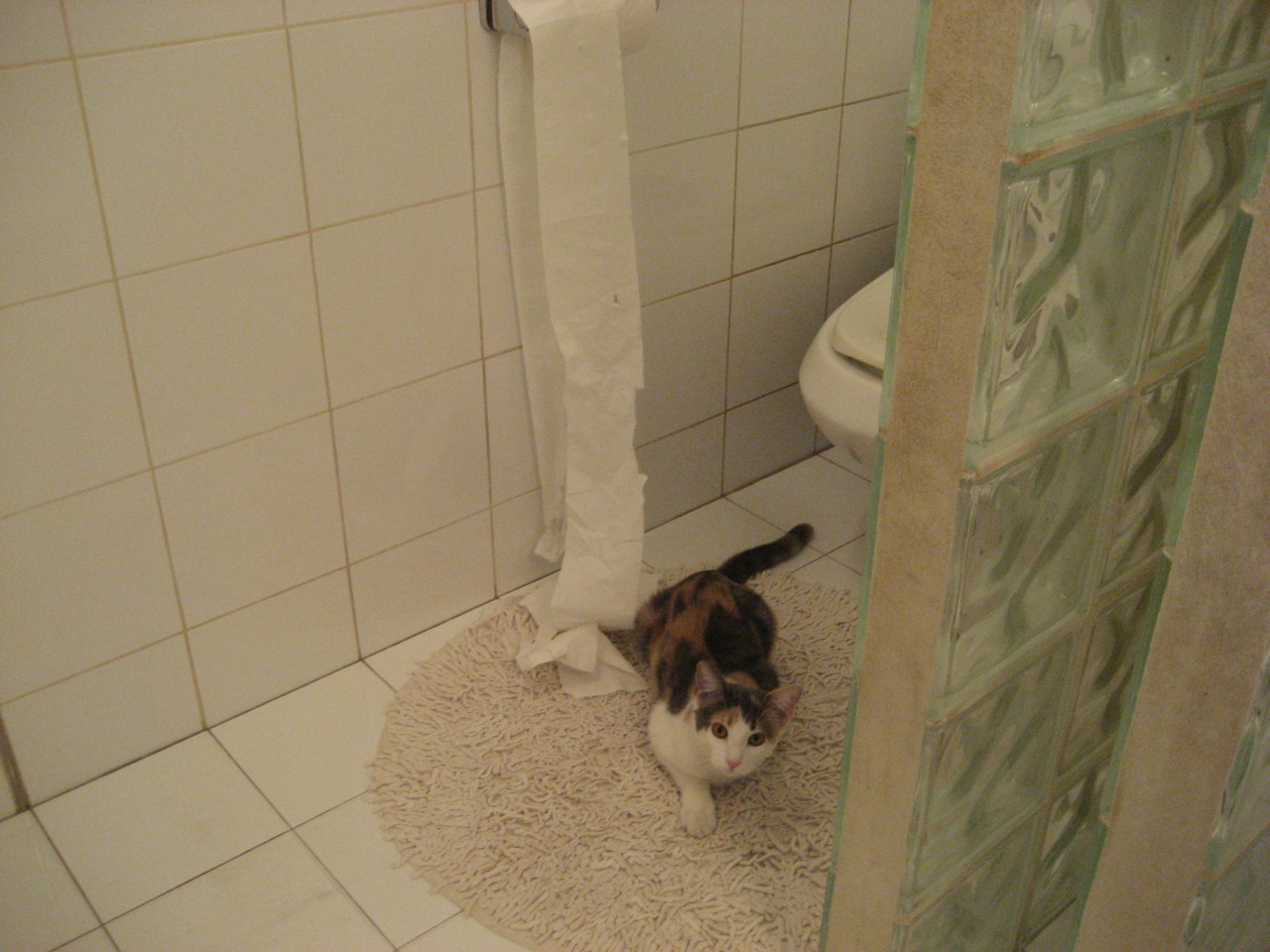 爱游戏官方-富力主场不利，千呼万唤未获一胜落后积分榜，富力 主场