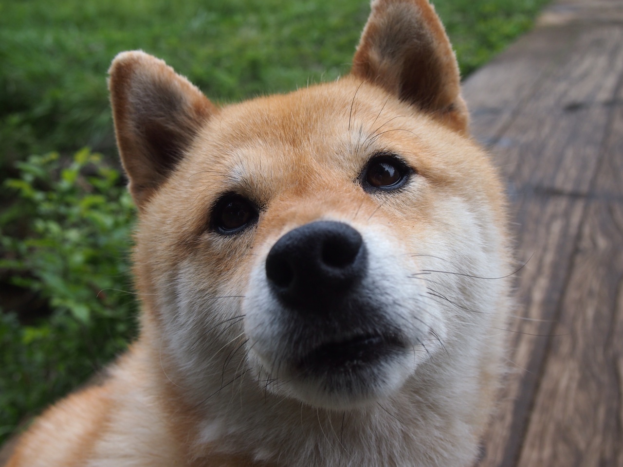 爱游戏官方网站-斯图加特客场失利，积分榜处于下滑状态，斯图加特夺冠