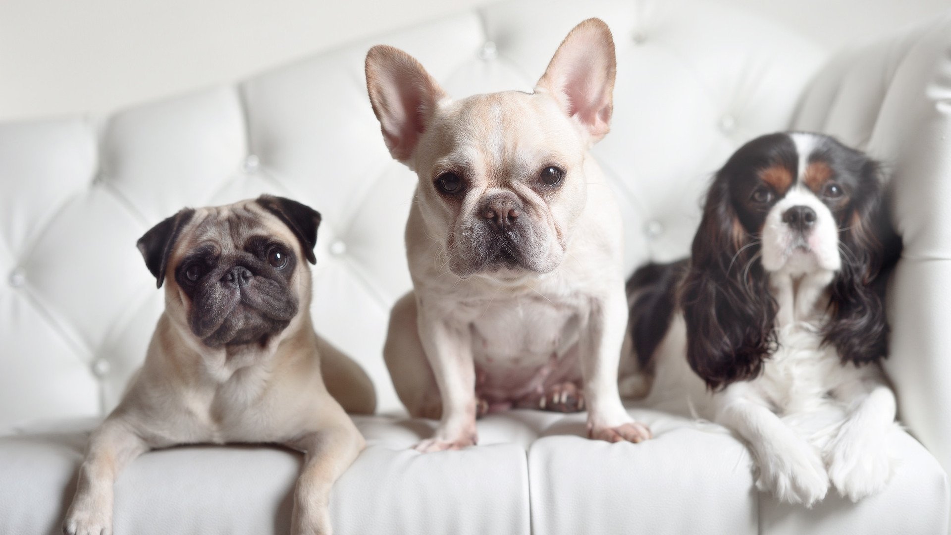 是否应创建NBA官方球员影响力榜，nba创建者