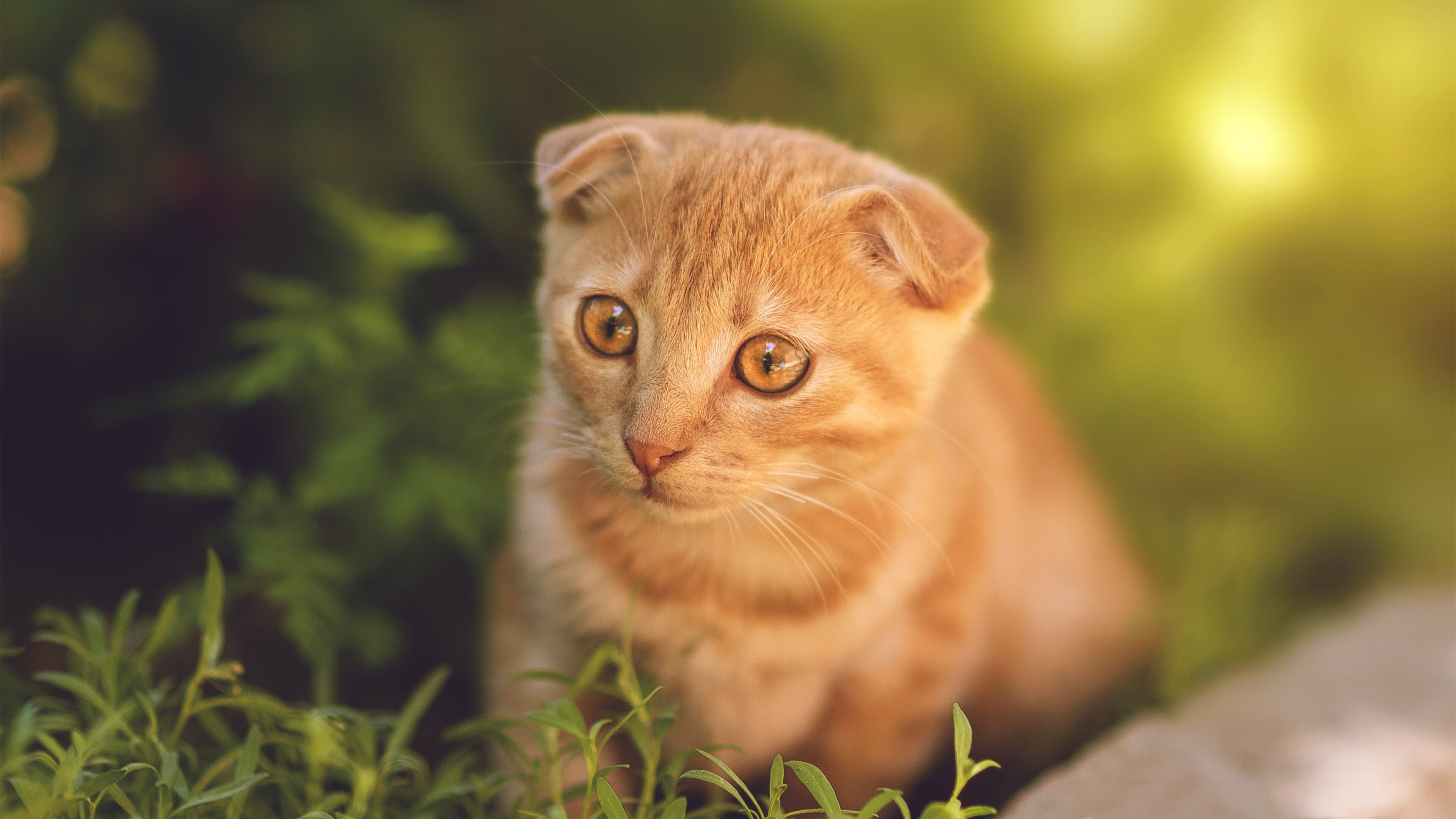 爱游戏电竞官网-梅西攻入倒勾绝杀，巴萨客场取胜，梅西进巴萨