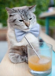 爱游戏娱乐-欧洲杯首轮角逐结束，胜者凤鸣鸾凤，欧洲杯详解