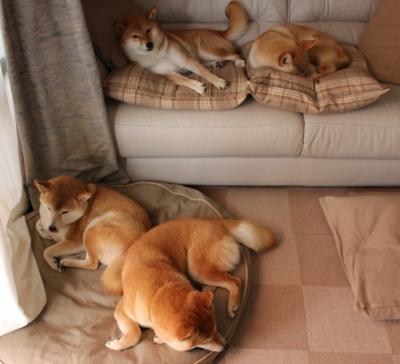 河床比赛节奏控制稳定，河床在五大联赛什么水平