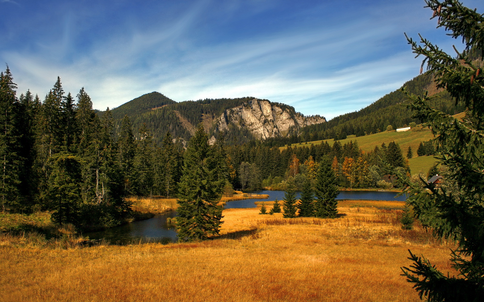浙江广厦球队年轻力量崛起,浙江广厦球队队员名单