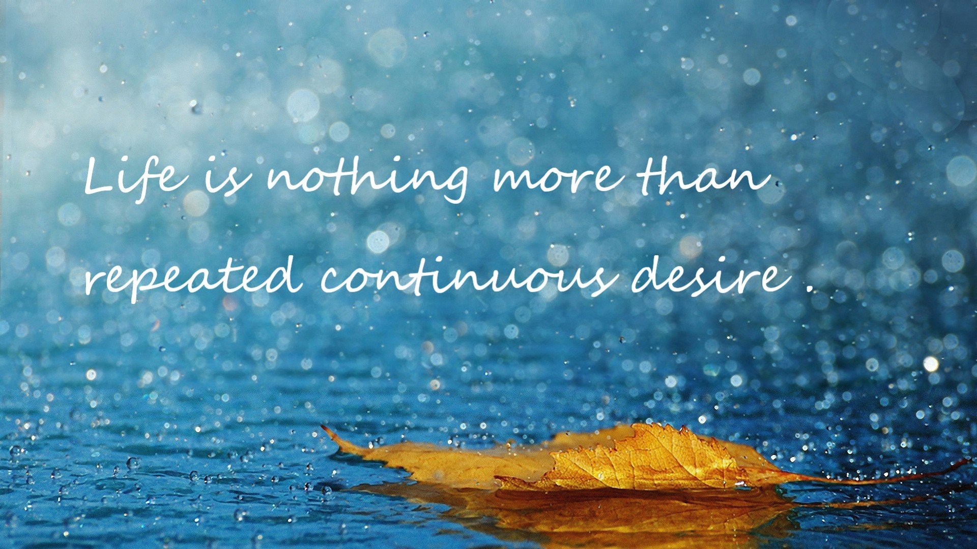 竞争激烈!欧洲足球冠军联赛四分之一决赛即将开始