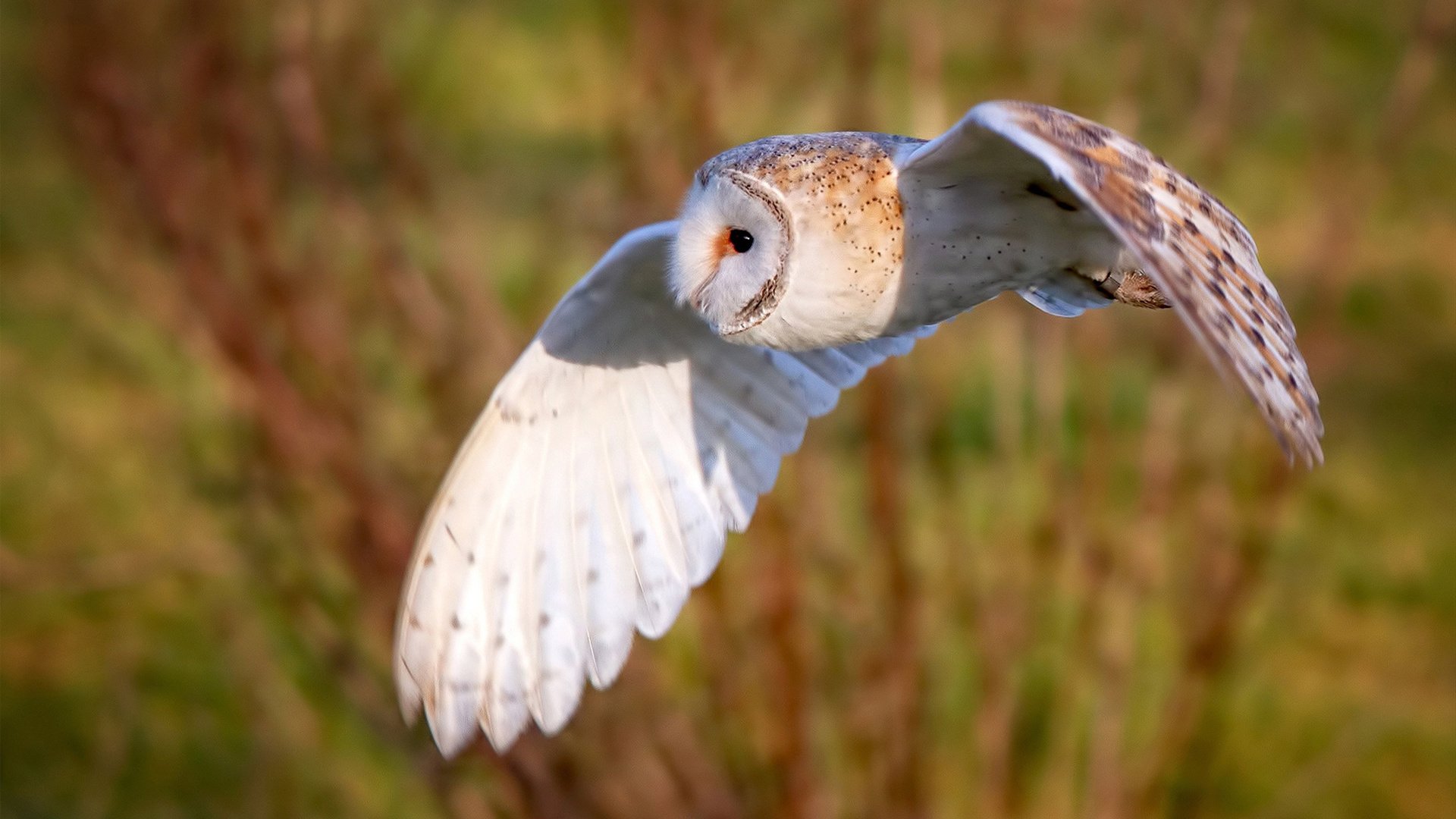 AYX体育-转会风云波澜 选手用行动诠释勇气，转会风云edg