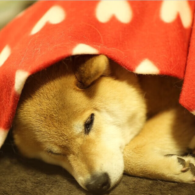 爱游戏体育官方网站-防线失守，南特遭遇昂烦比带来的阻击，南特 vs 里昂