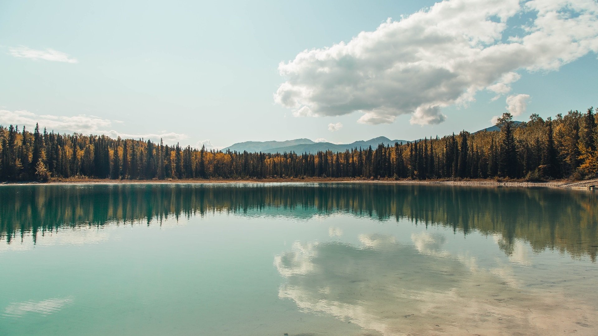 爱游戏体育平台-鱼鹰球迷聚集球场助威，为球队加油助力获胜，鱼鹰表演