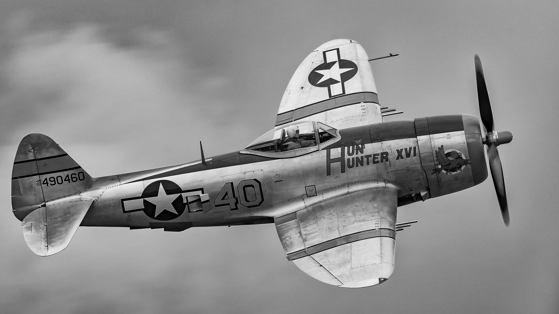 中国篮球教练员团队协作模式优化,篮球教练组成员