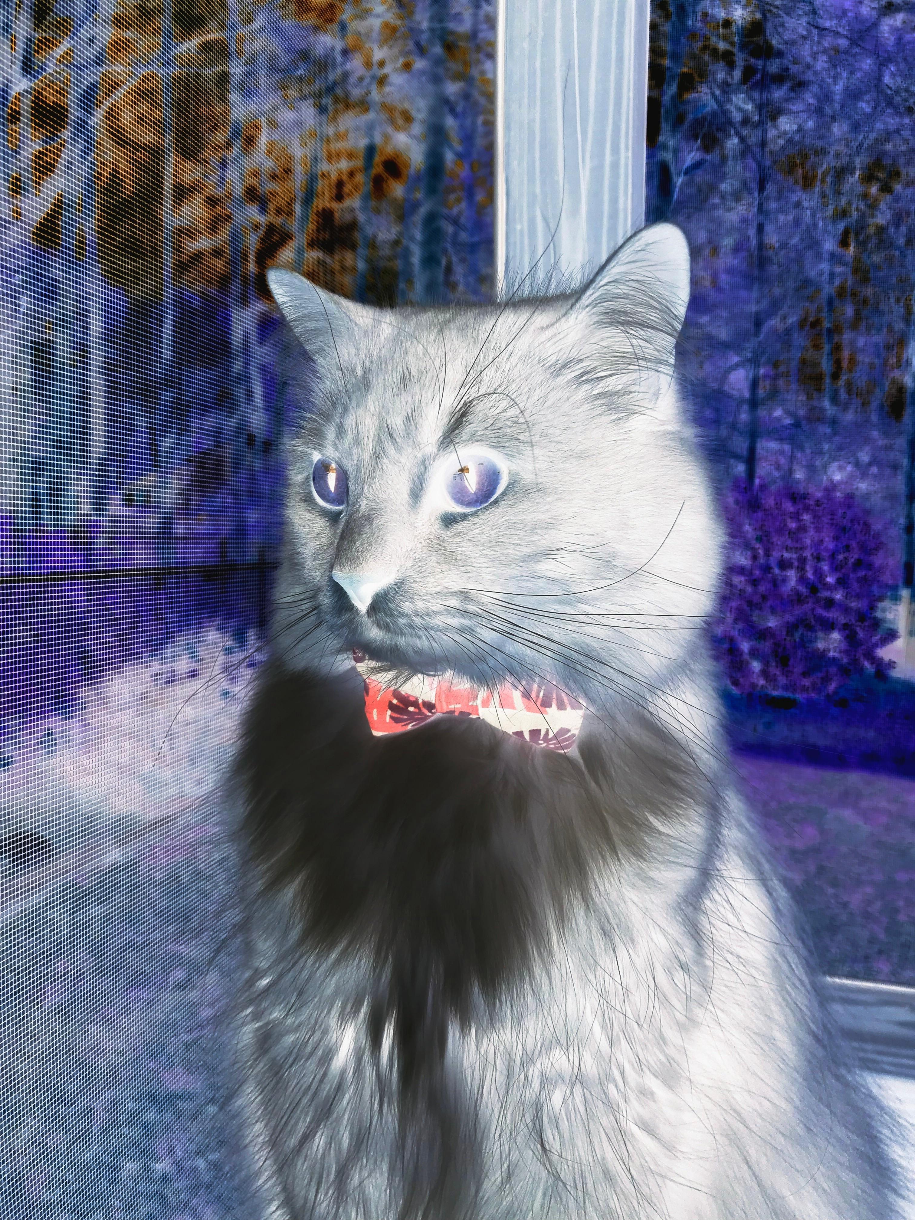 爱游戏在线登录入口-突尼斯希望主力前锋表现受限被锁死，25欧元多少人民币