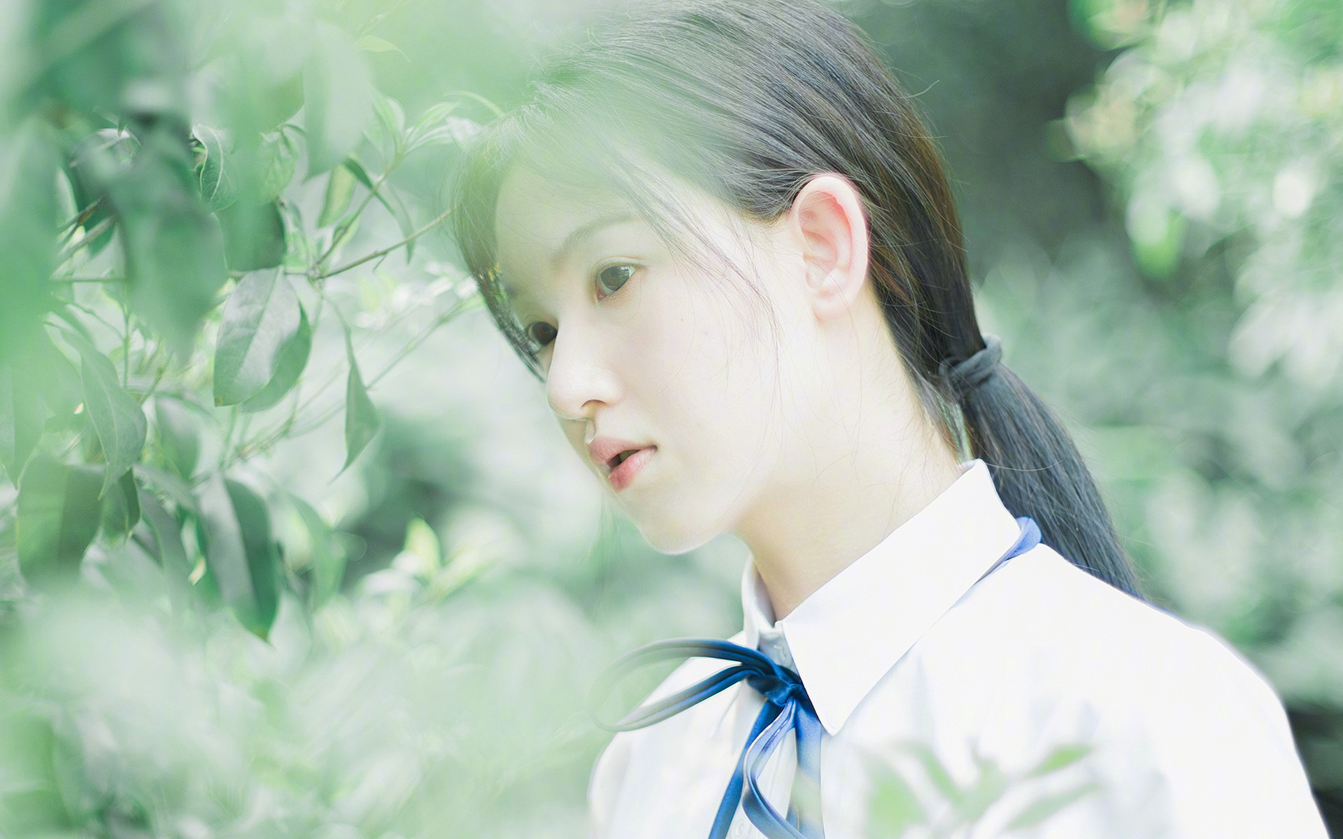 AYX GAME-篮球联赛市场影响力提升，篮球联赛的目的