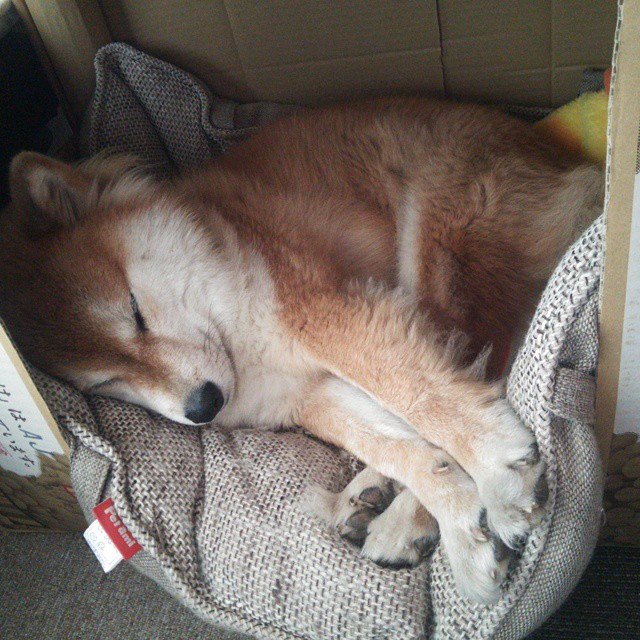 AYX GAME-数字化赛事管理平台实现多赛事同时直播，提升运营效率，数字化赛道是什么