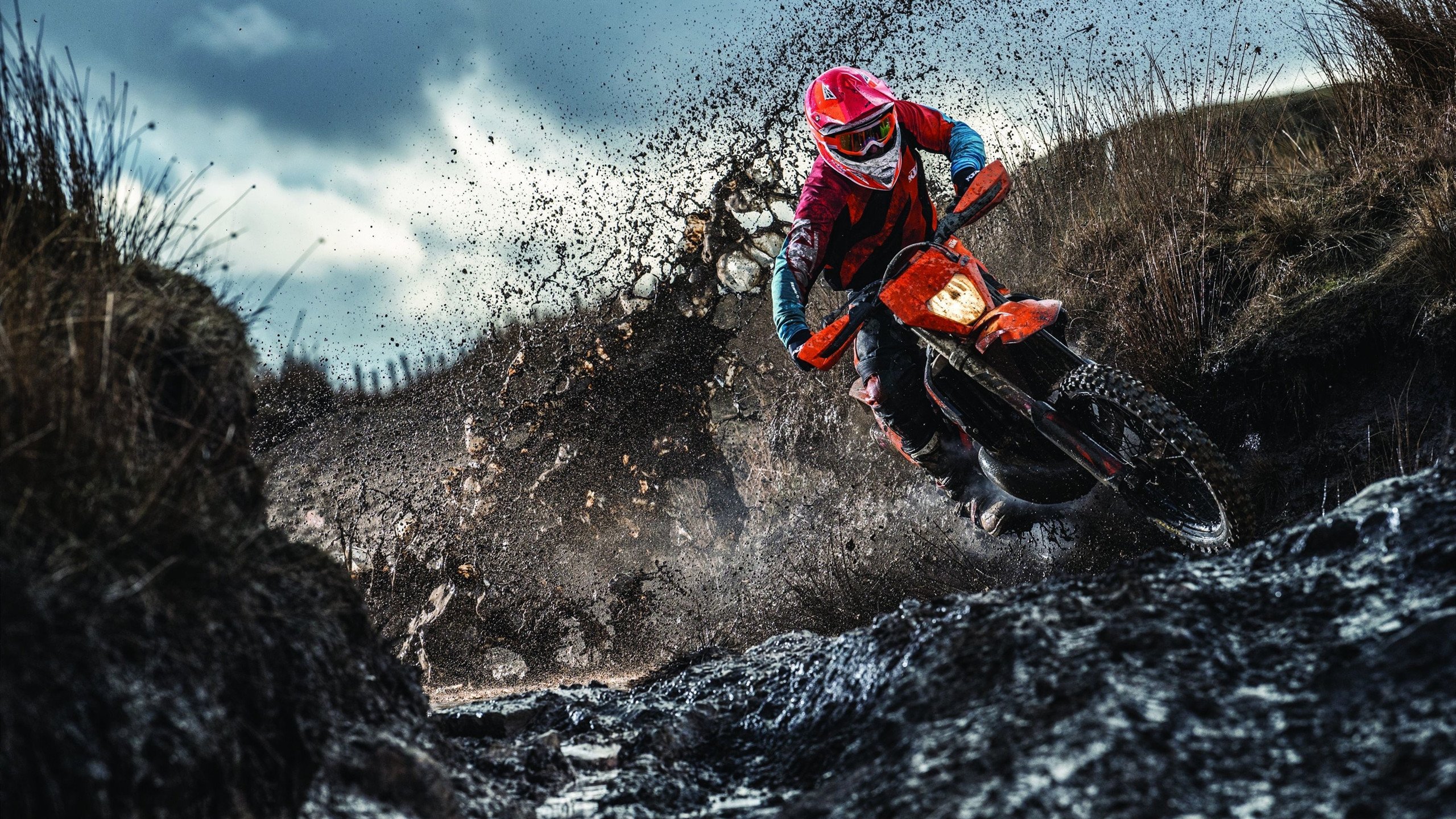 马拉松志愿服务体系趋于专业化，马拉松志愿者服务项目有哪些